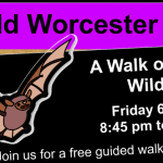 A Walk on the Wild Side
