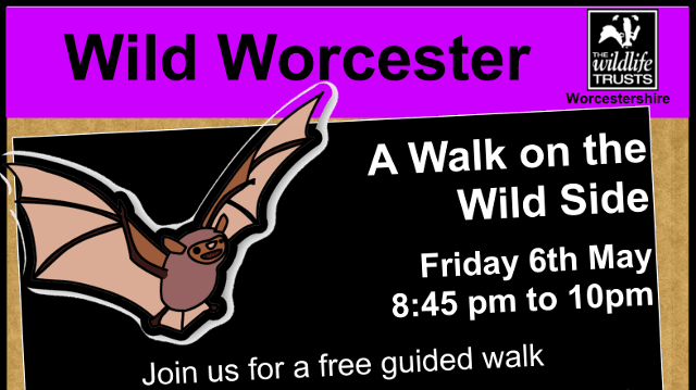 A Walk on the Wild Side