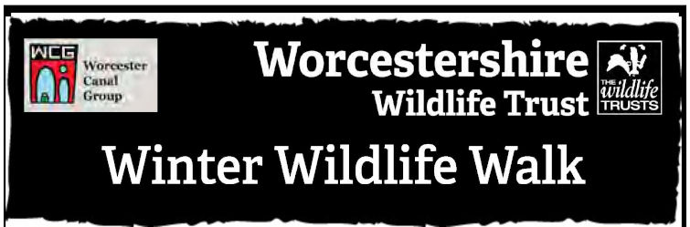 Winter Wildlife Walk