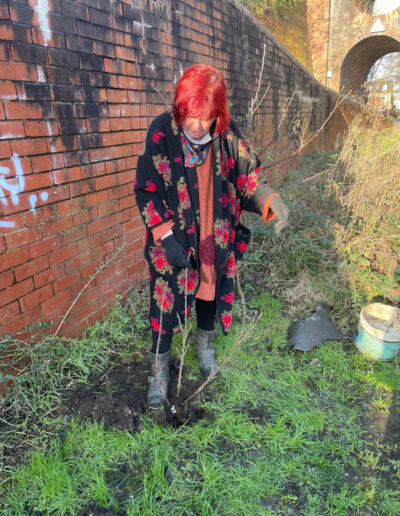 Tree planting along the canal towpath