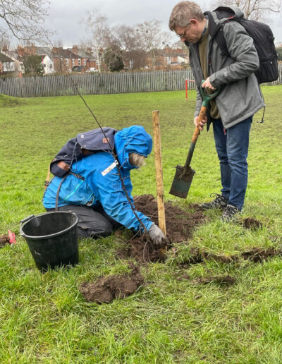 Tree planting along the canal towpath