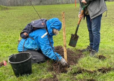 Tree planting in 2022