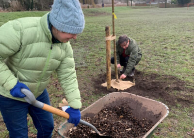 Tree planting in Lansdowne Park